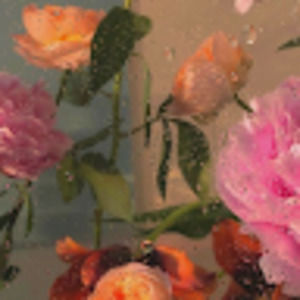 Meet your Posher, Gianna